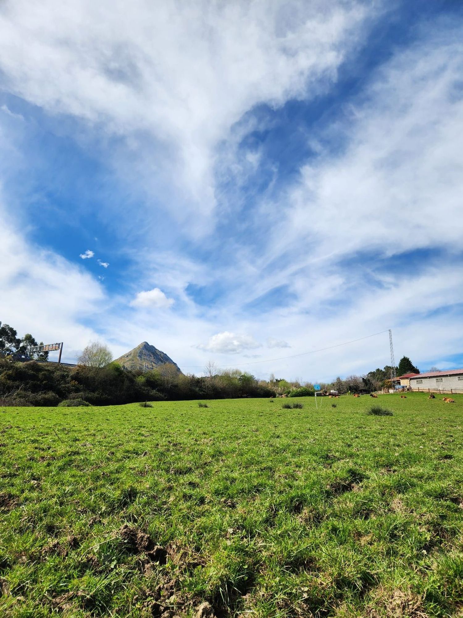 Plot in Ribadesella