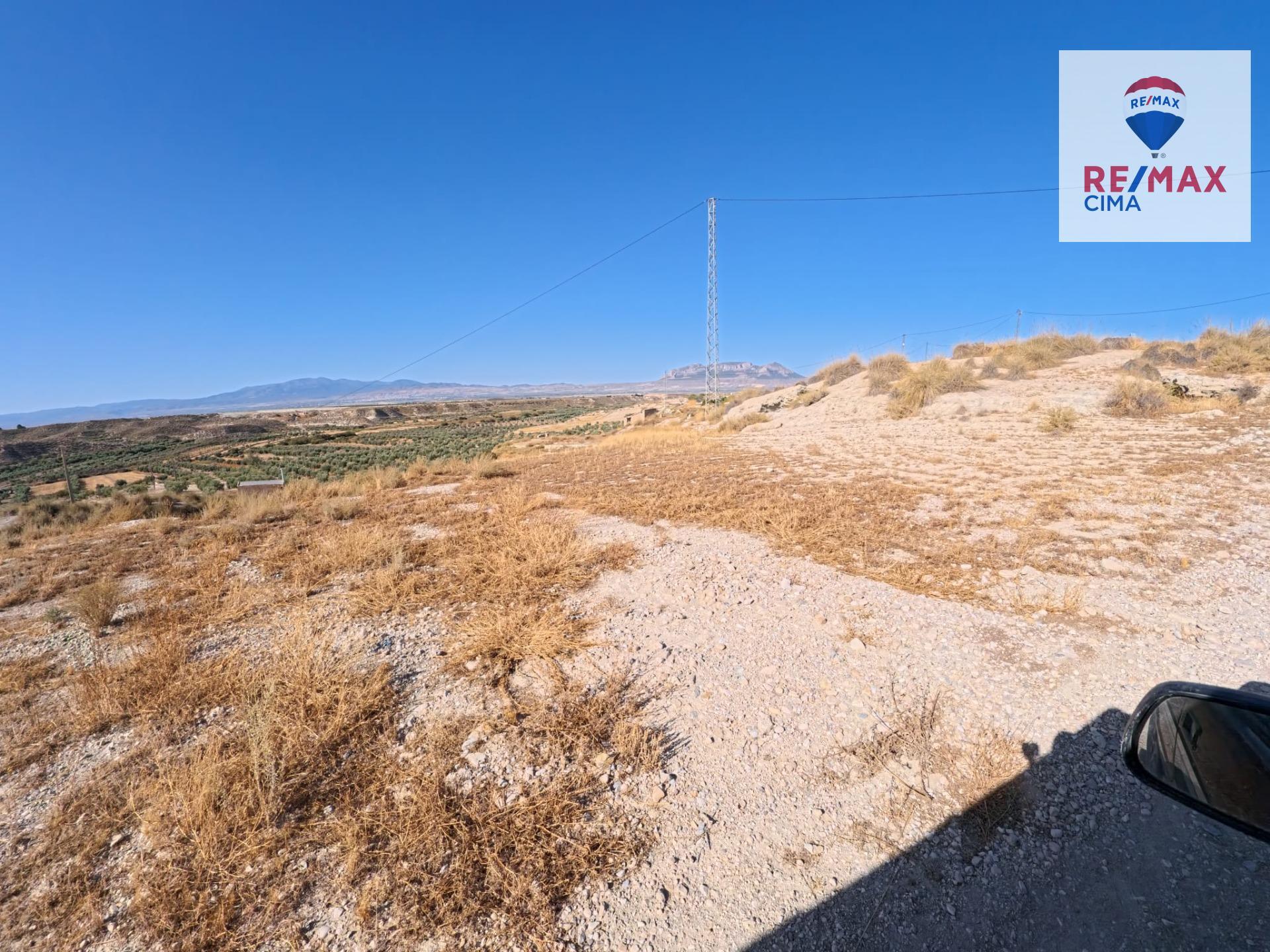 Pisos-Venta-Benamaurel-1900463-Foto-25