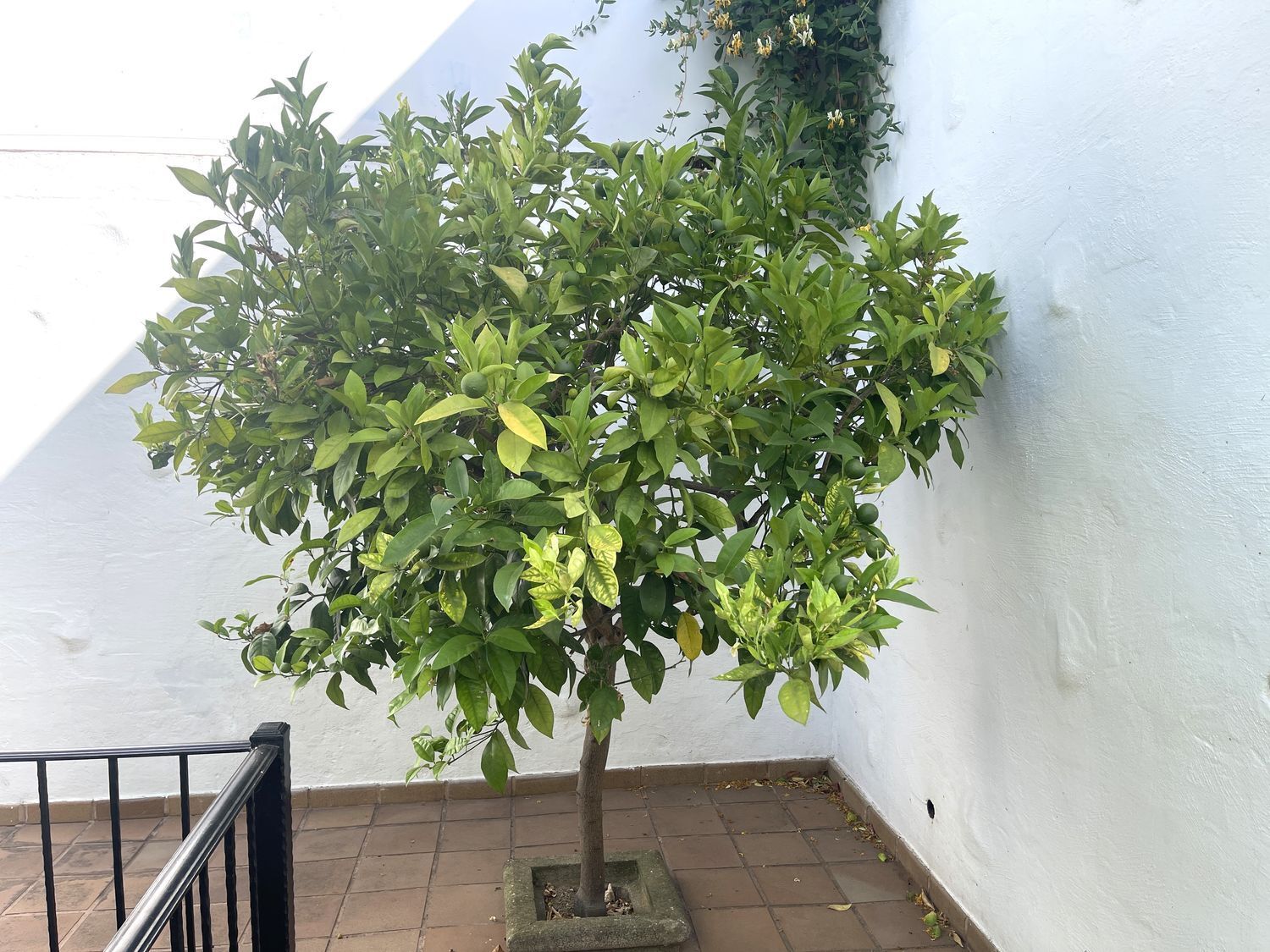 Casas o chalets-Venta-Valsequillo de Gran Canaria-1767045-Foto-46