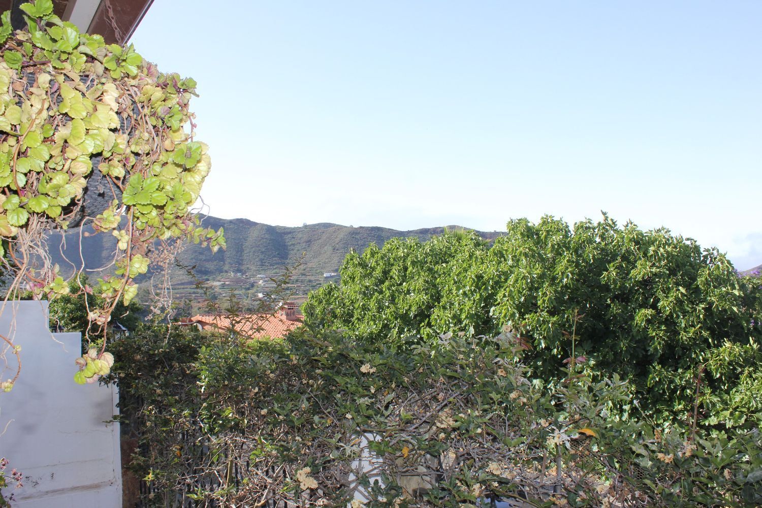 Casas o chalets-Venta-Valsequillo de Gran Canaria-1767045-Foto-63