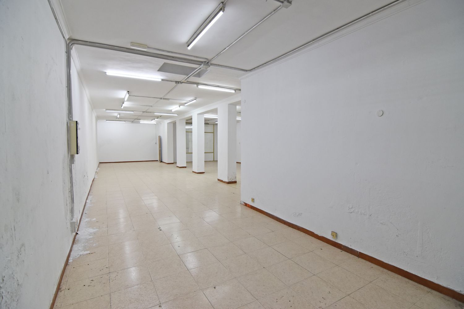 Negocios-Venta-Las Palmas de Gran Canaria-1506633-Foto-6