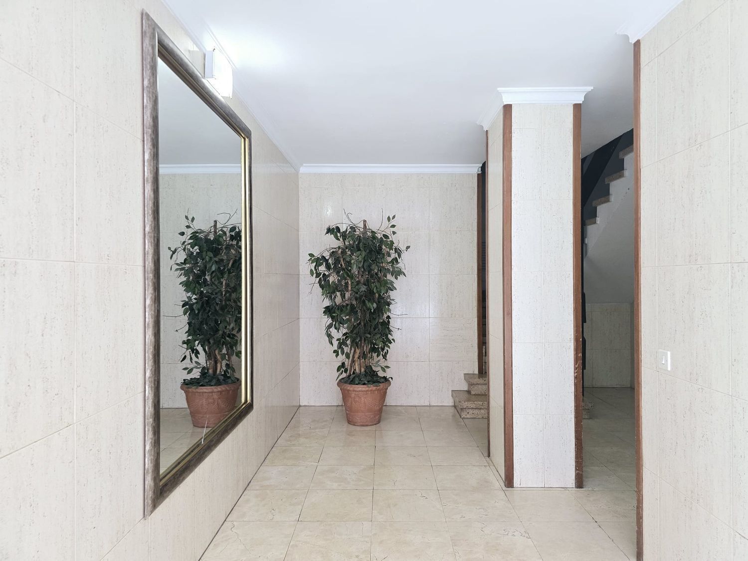 Pisos-Alquiler-Las Palmas de Gran Canaria-1833998-Foto-25