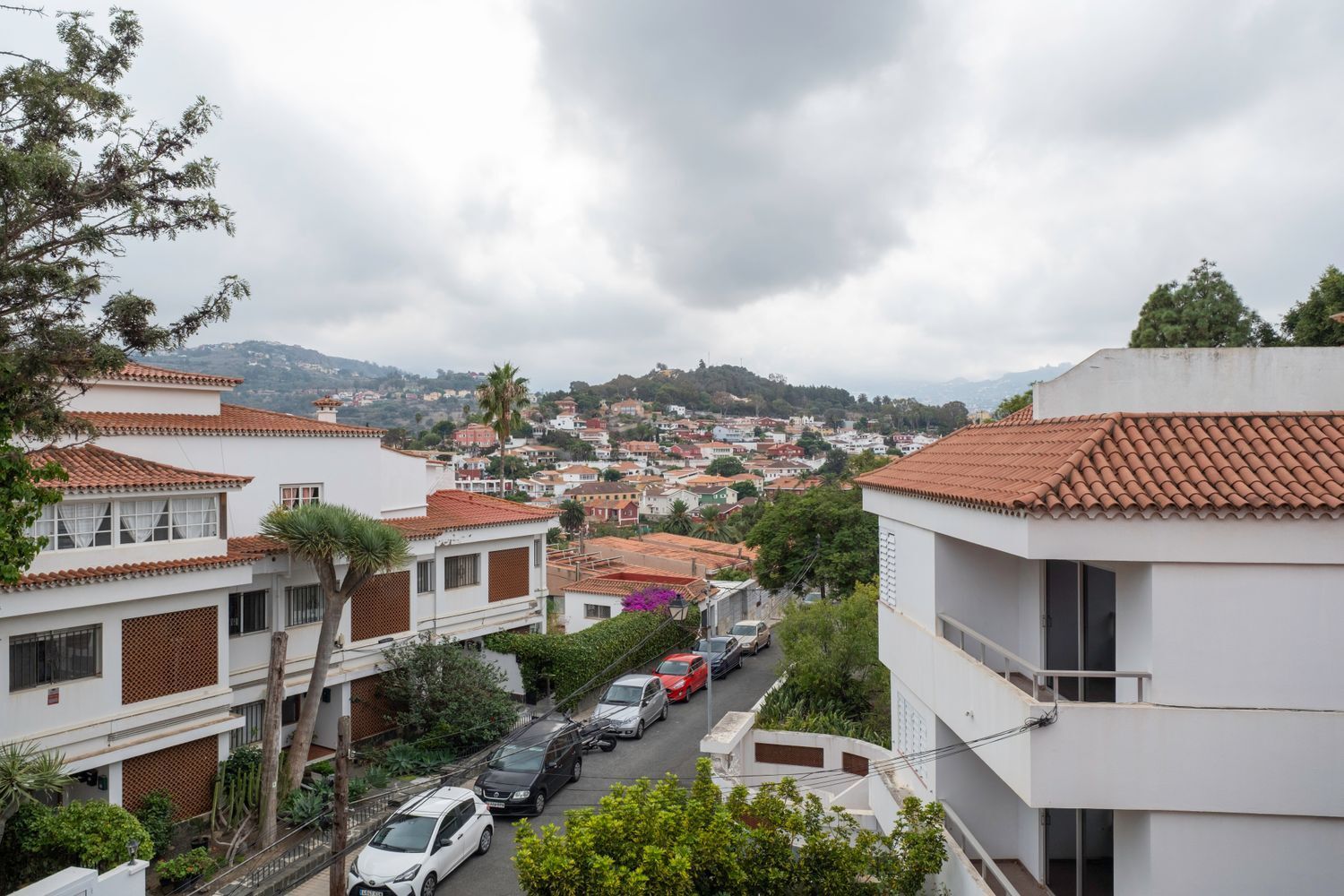 Casas o chalets-Venta-Santa BrÃ­gida-1893658-Foto-55