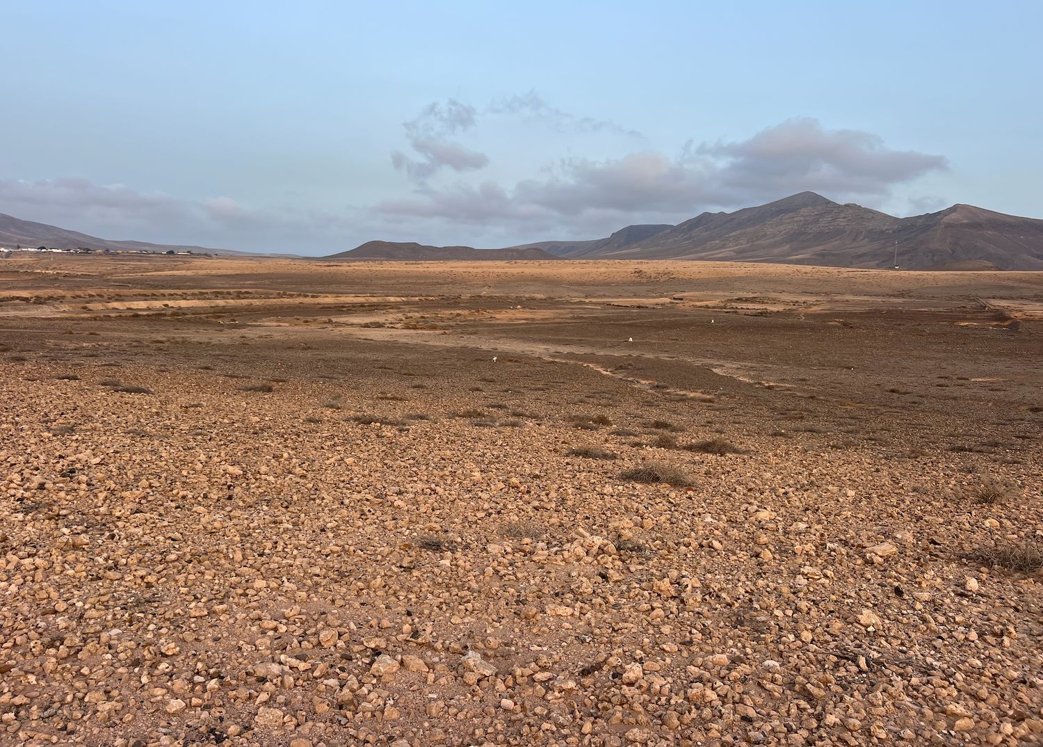 Fincas y solares-Venta-La Antigua-1888670-Foto-2