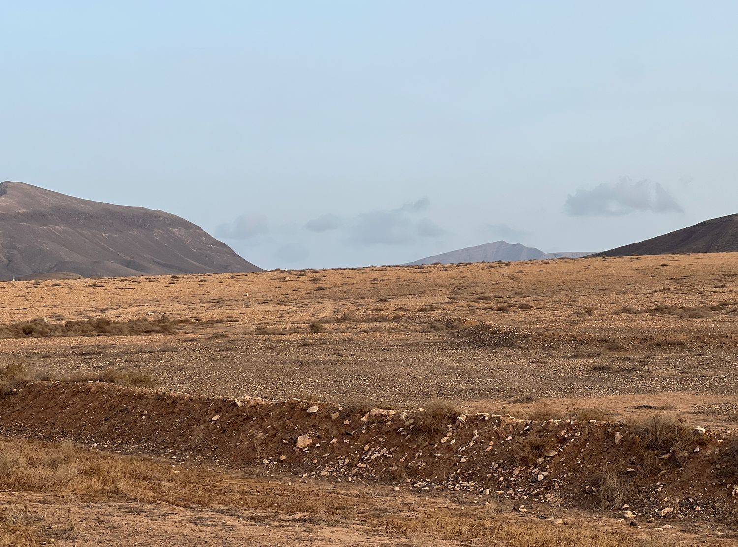Fincas y solares-Venta-La Antigua-1888670-Foto-7