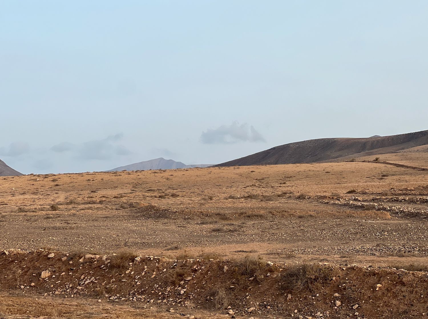 Fincas y solares-Venta-La Antigua-1888670-Foto-8