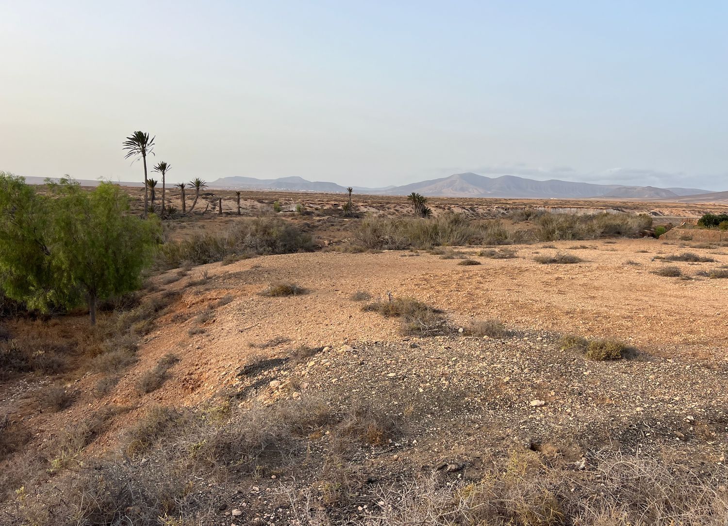 Fincas y solares-Venta-La Antigua-1888670-Foto-13