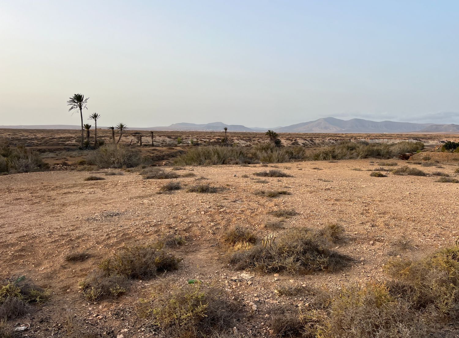 Fincas y solares-Venta-La Antigua-1888670-Foto-15