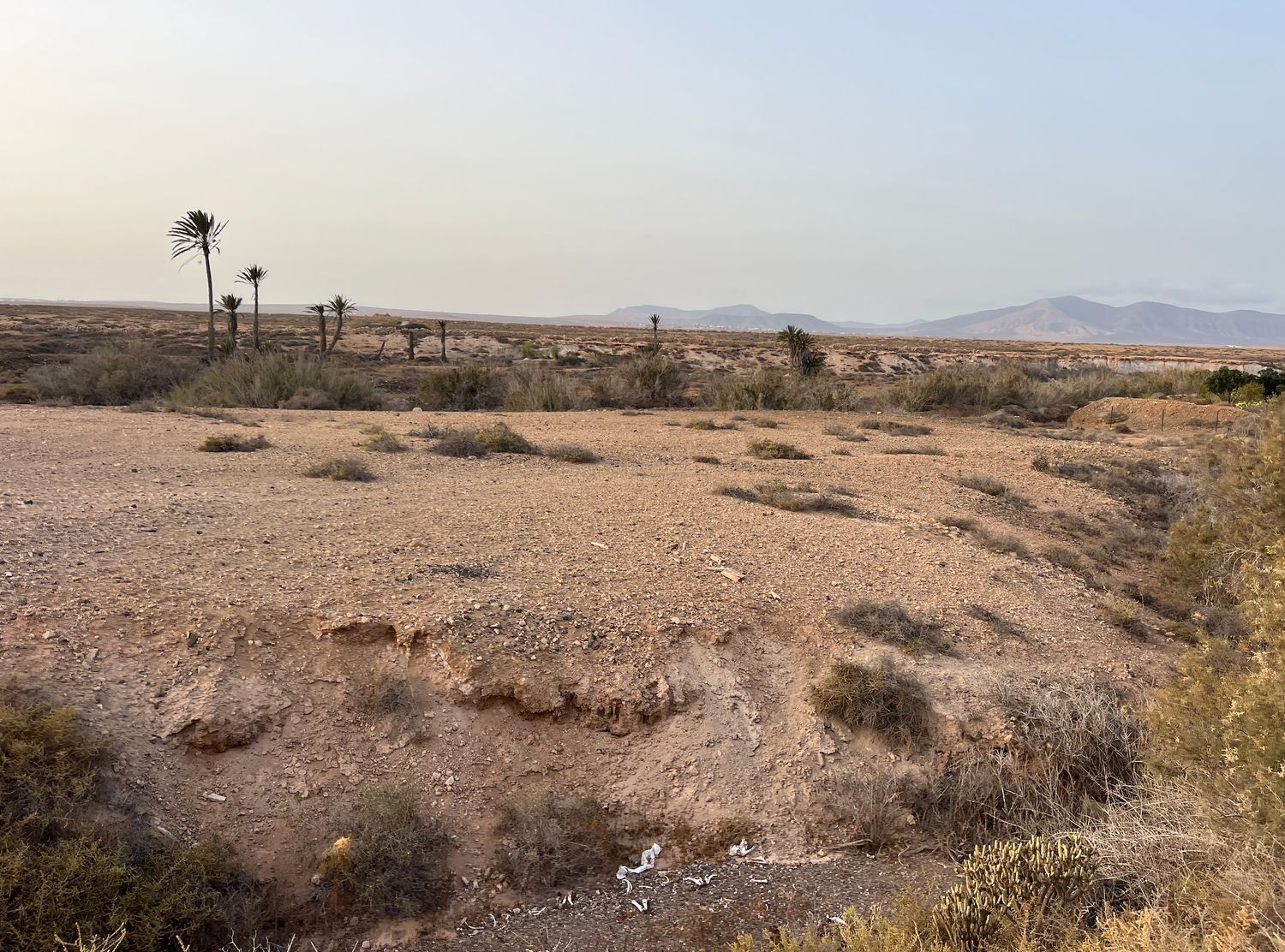 Fincas y solares-Venta-La Antigua-1888670-Foto-16