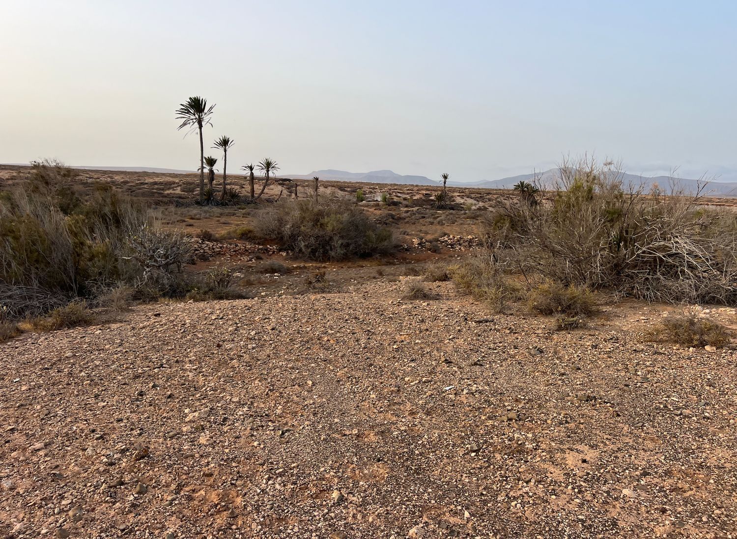 Fincas y solares-Venta-La Antigua-1888670-Foto-19