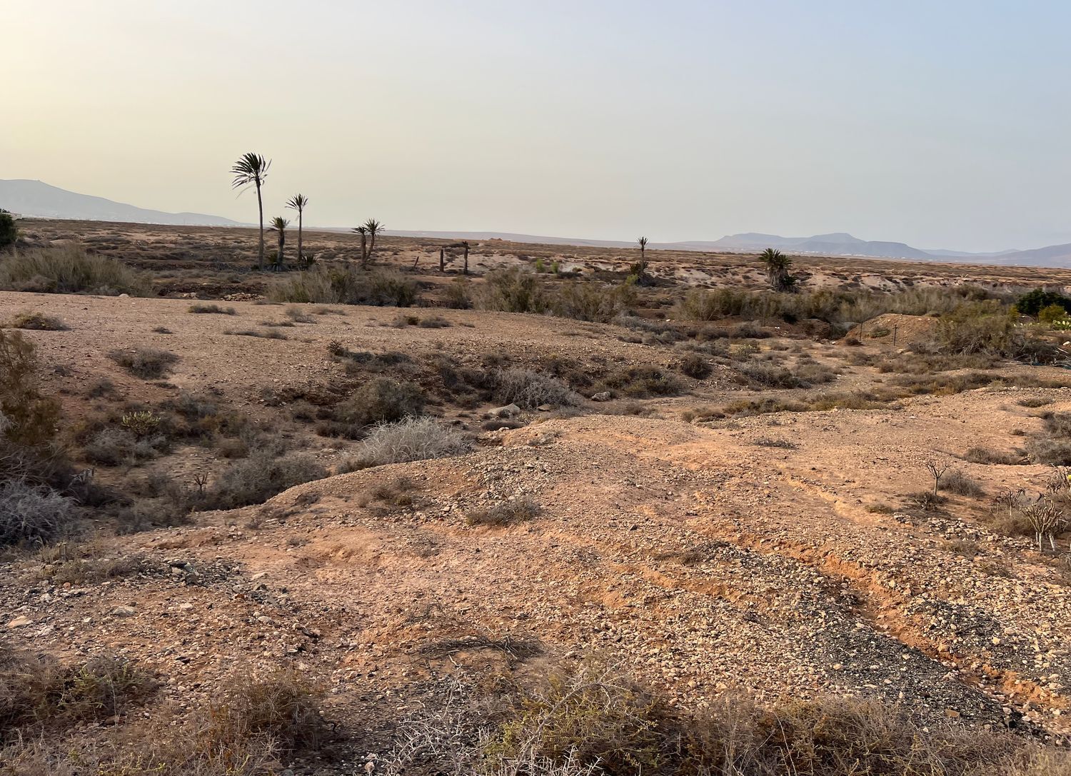 Fincas y solares-Venta-La Antigua-1888670-Foto-18