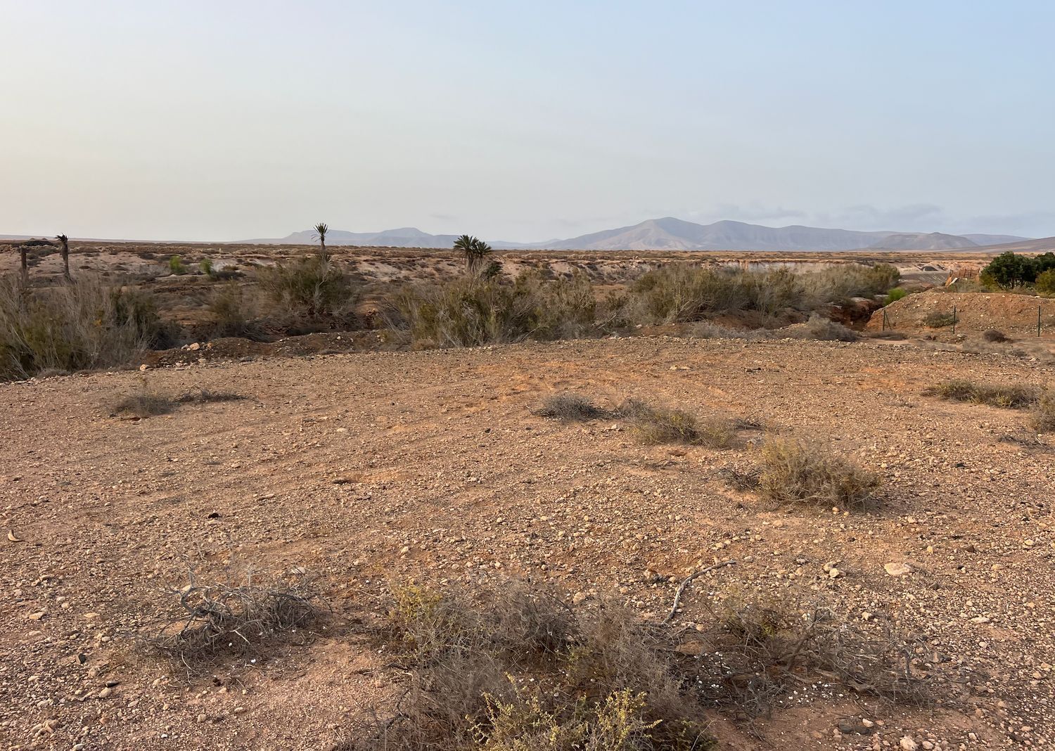 Fincas y solares-Venta-La Antigua-1888670-Foto-21