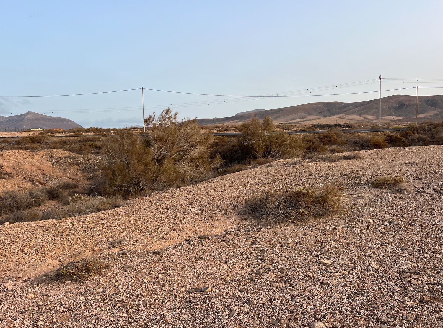 Fincas y solares-Venta-La Antigua-1888670-Foto-23