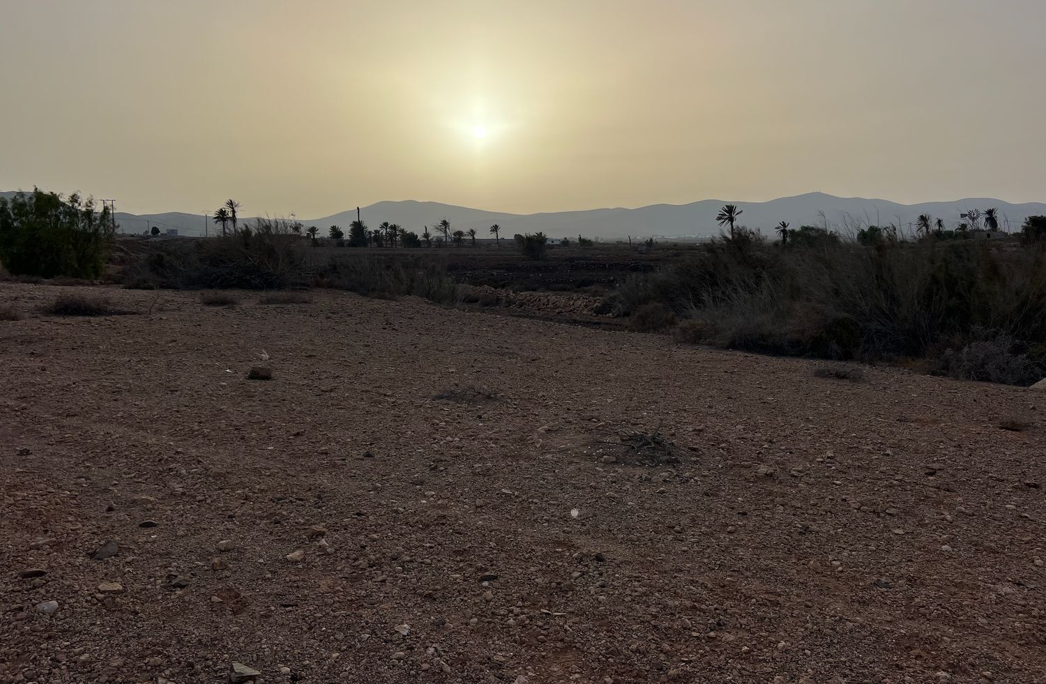 Fincas y solares-Venta-La Antigua-1888670-Foto-28