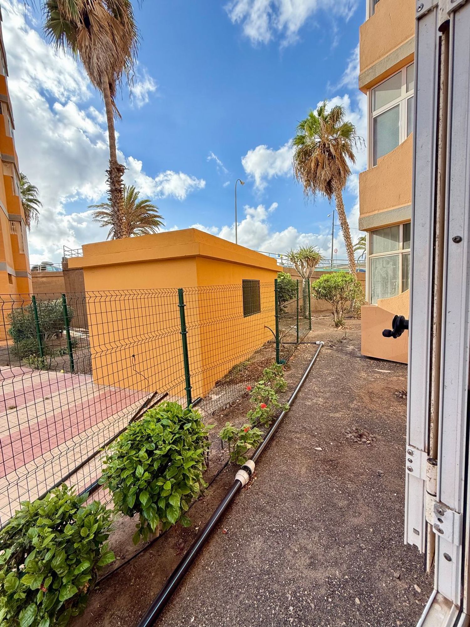 Pisos-Venta-Las Palmas de Gran Canaria-1900454-Foto-28