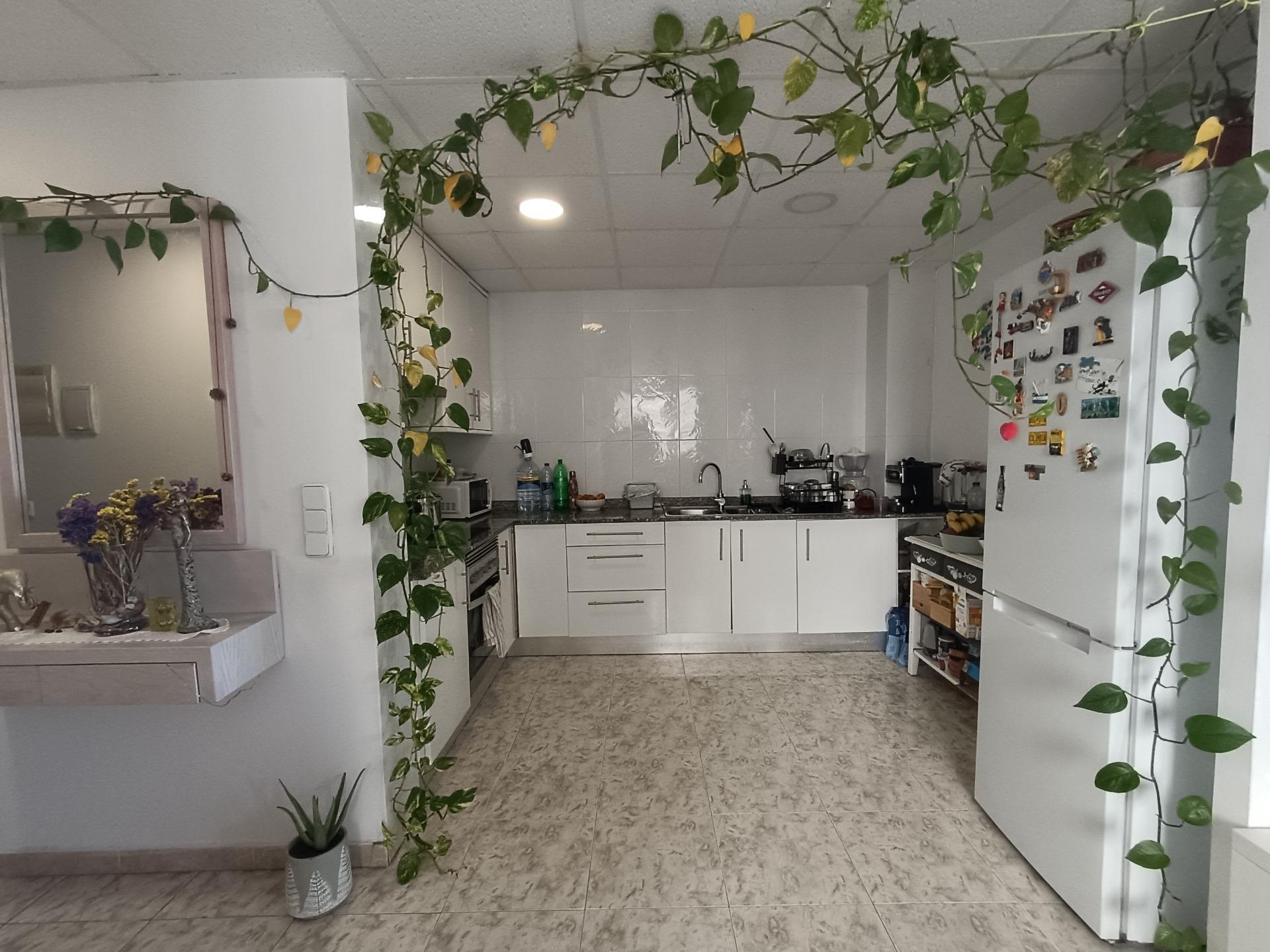 Pisos-Venta-Manacor-1842792-Foto-4