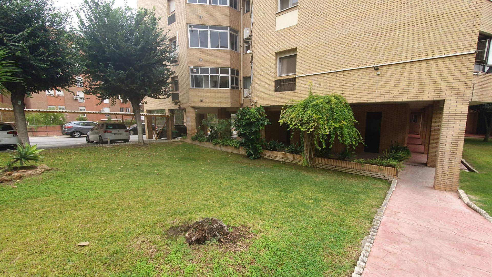Pisos-Alquiler-Tomares-1900526-Foto-50