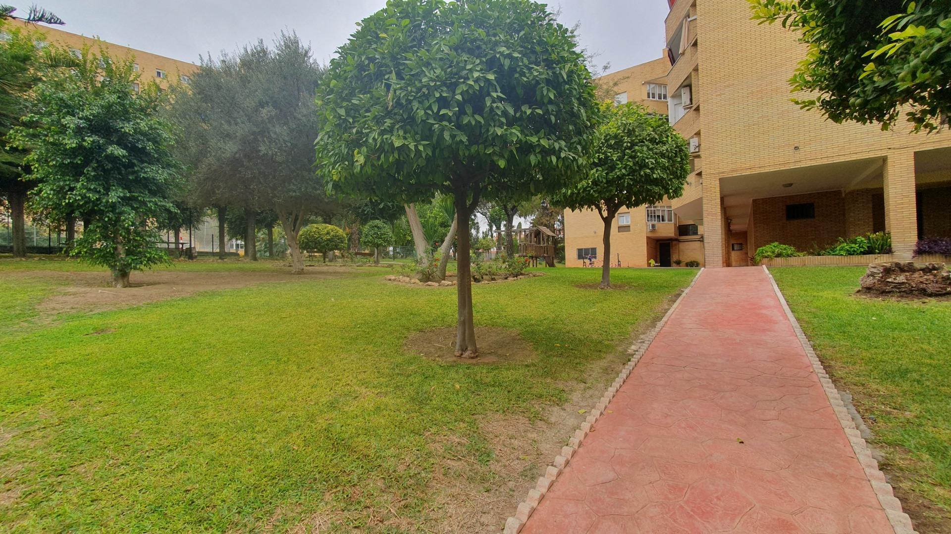 Pisos-Alquiler-Tomares-1900526-Foto-52