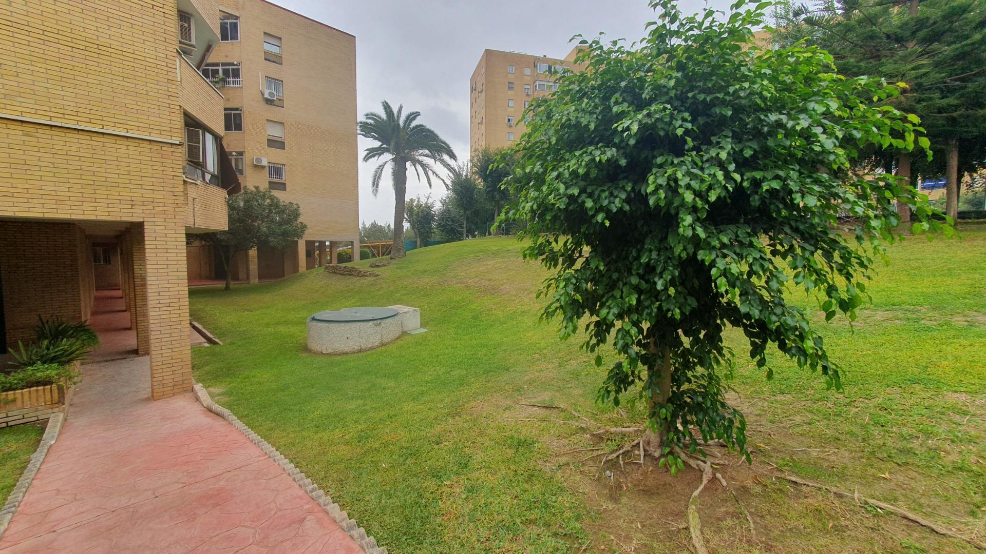 Pisos-Alquiler-Tomares-1900526-Foto-53