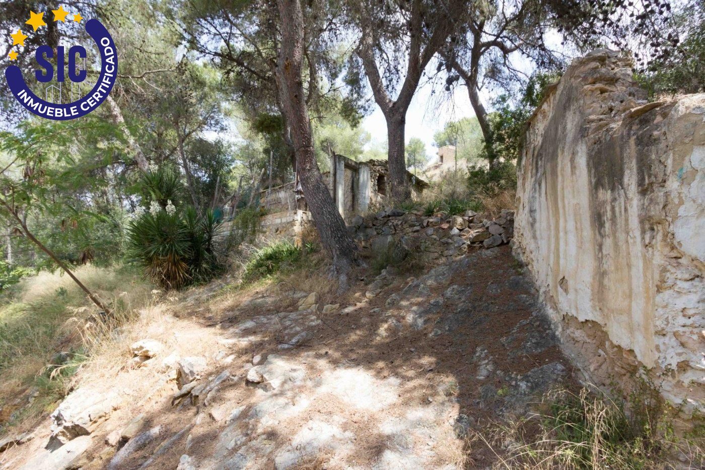 Fincas y solares-Venta-Godelleta-456797-Foto-8