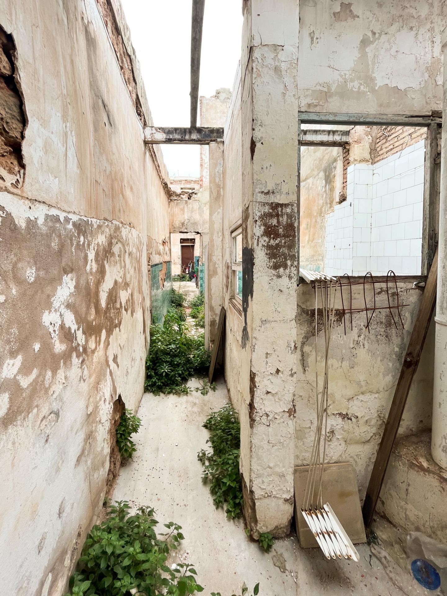 Fincas y solares-Venta-Moncada-798531-Foto-13