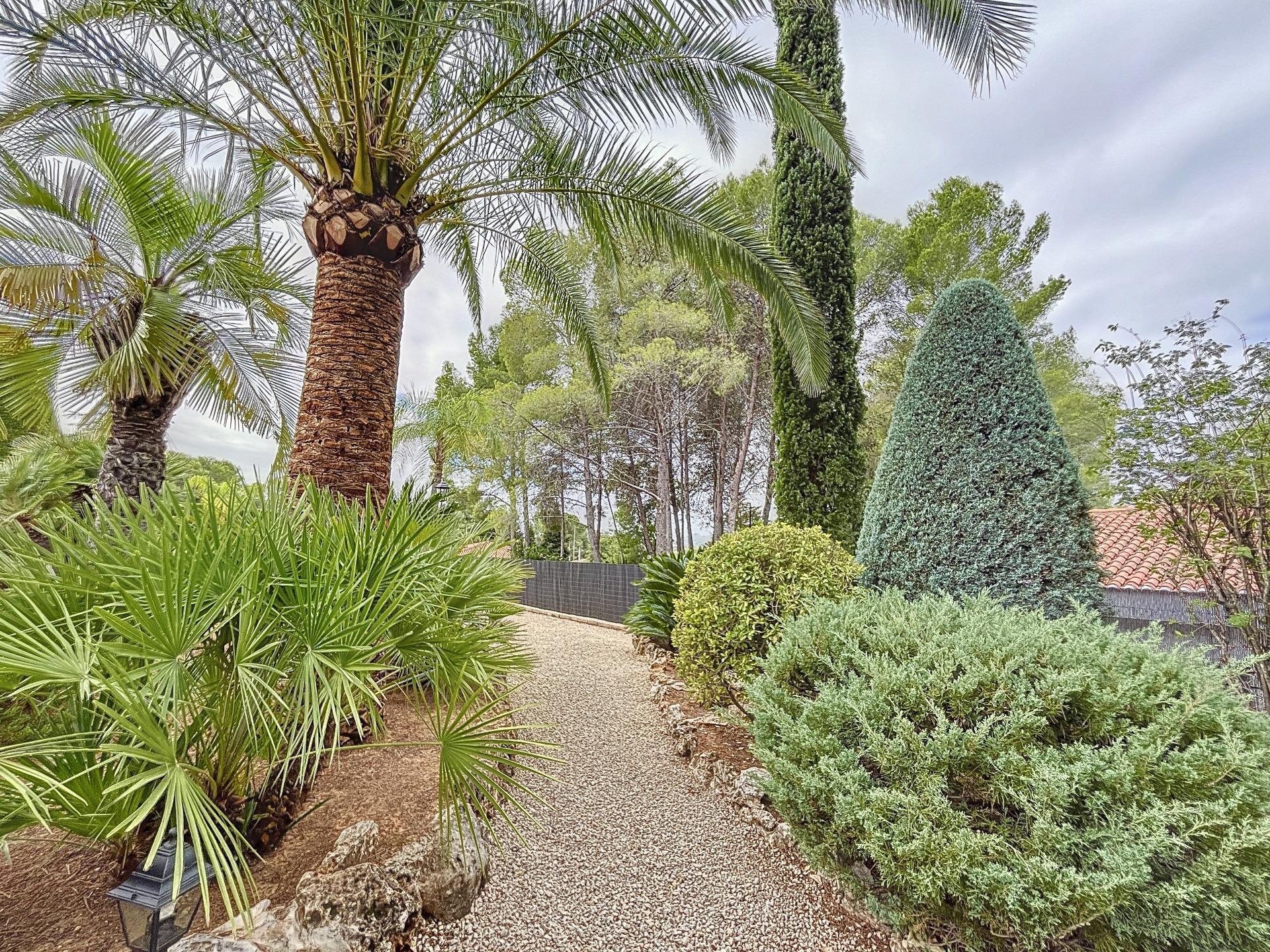 Casas o chalets-Venta-XÃ tiva-1411621-Foto-49