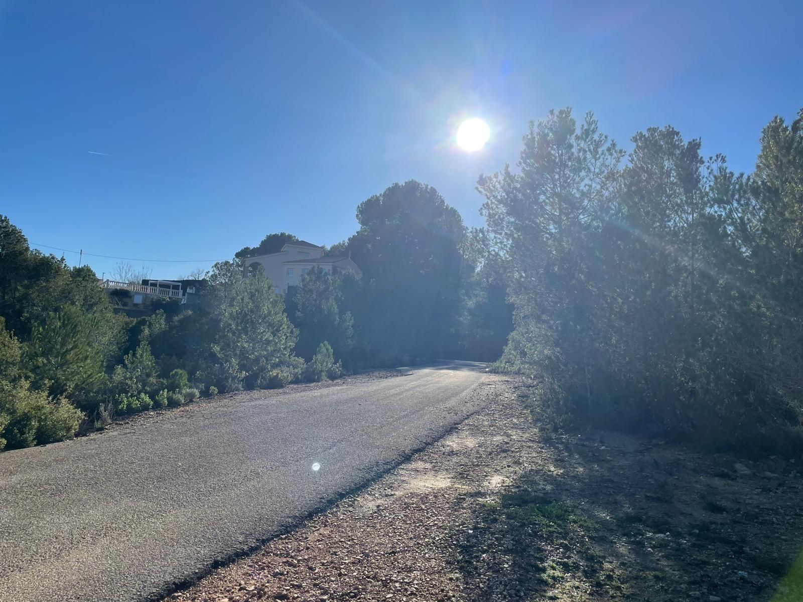 Plot in Godelleta