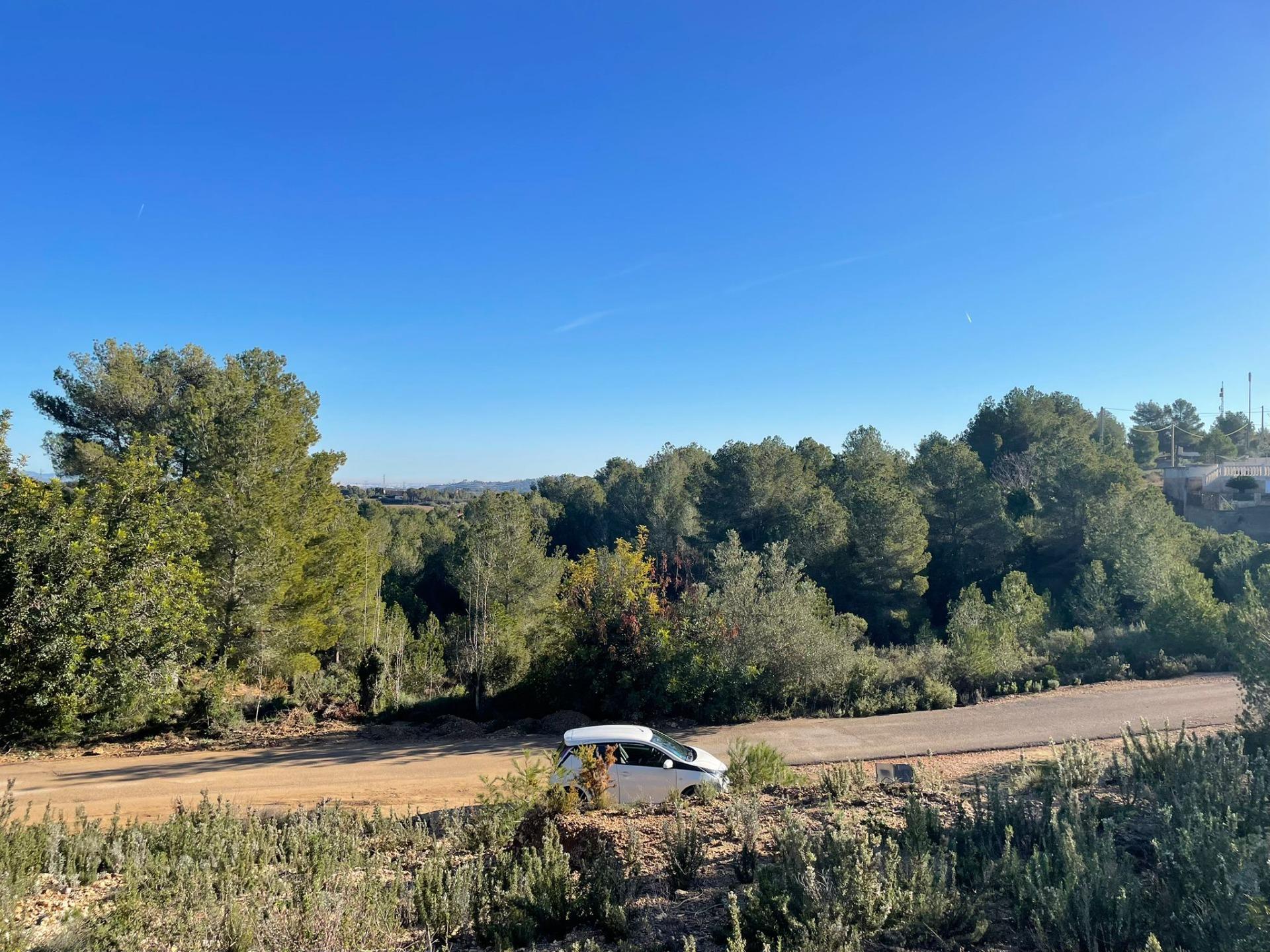Plot in Godelleta
