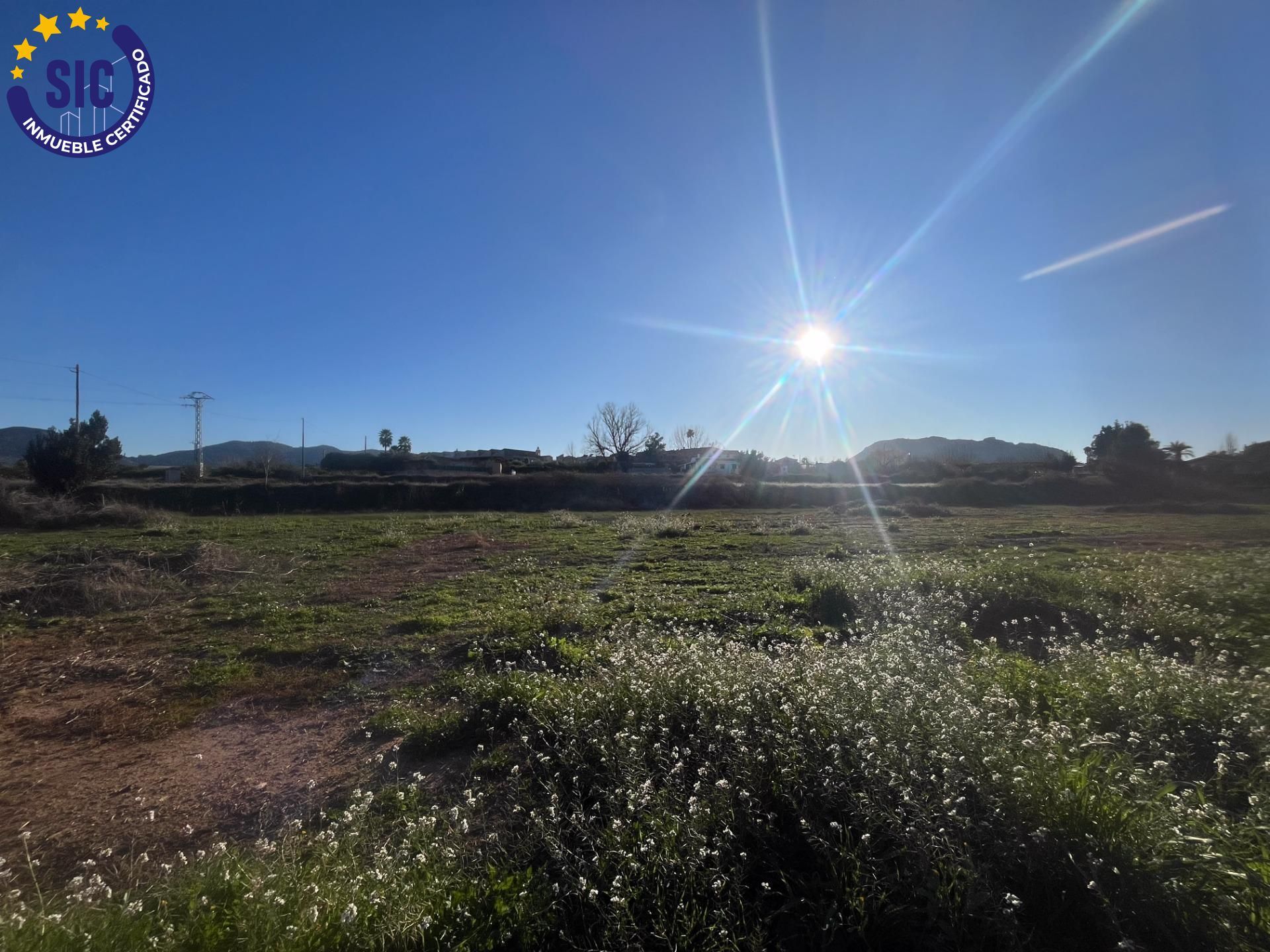 Plot in Barxeta