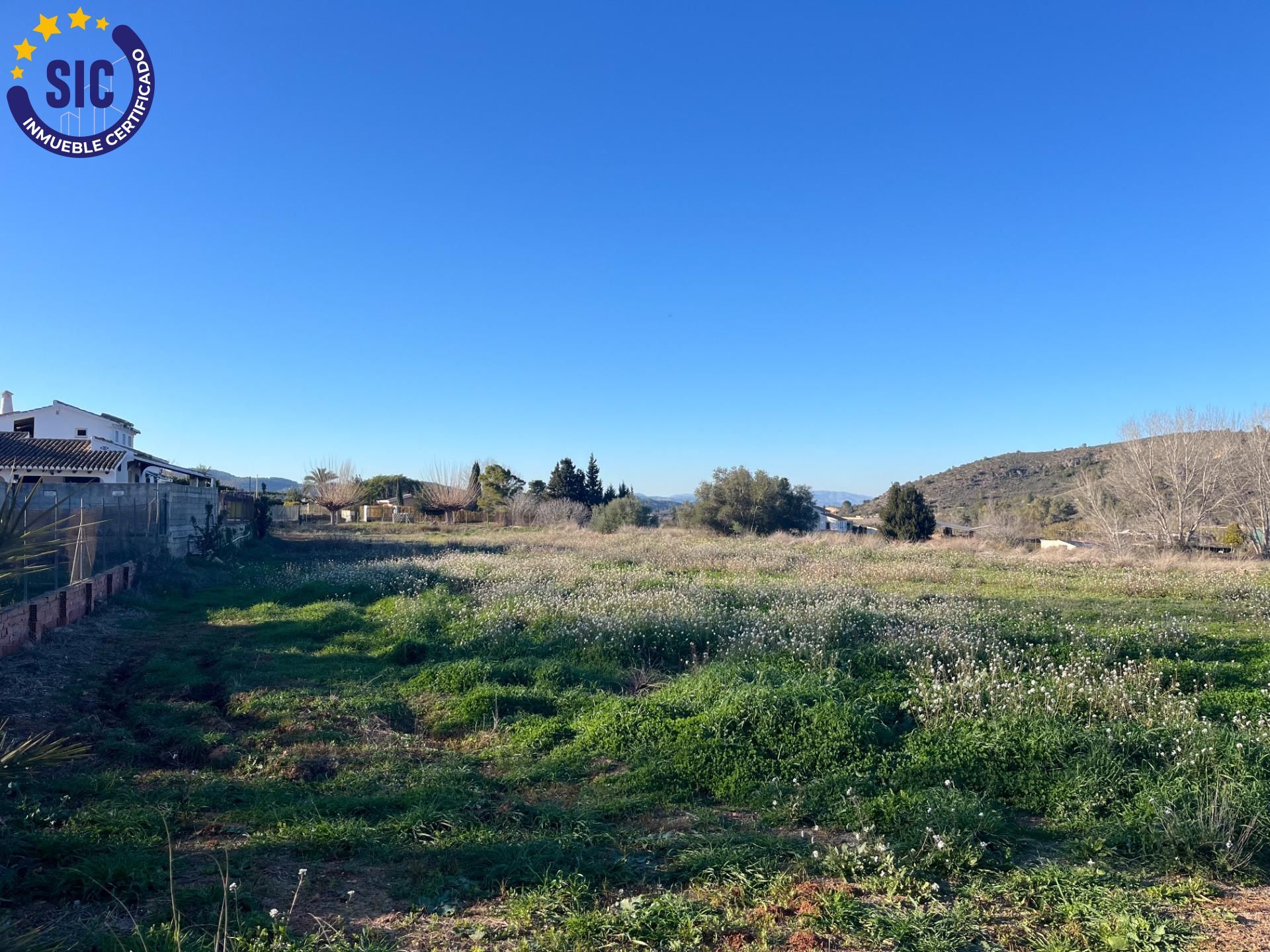 Plot in Barxeta