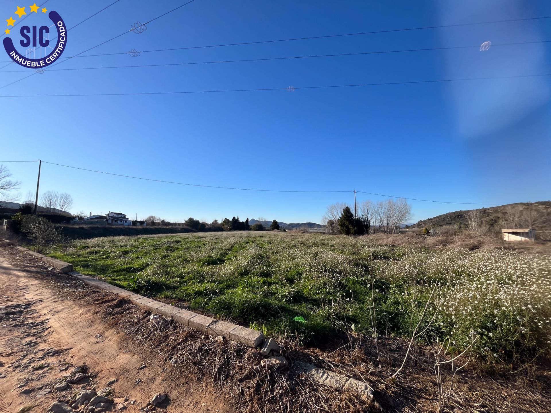 Plot in Barxeta