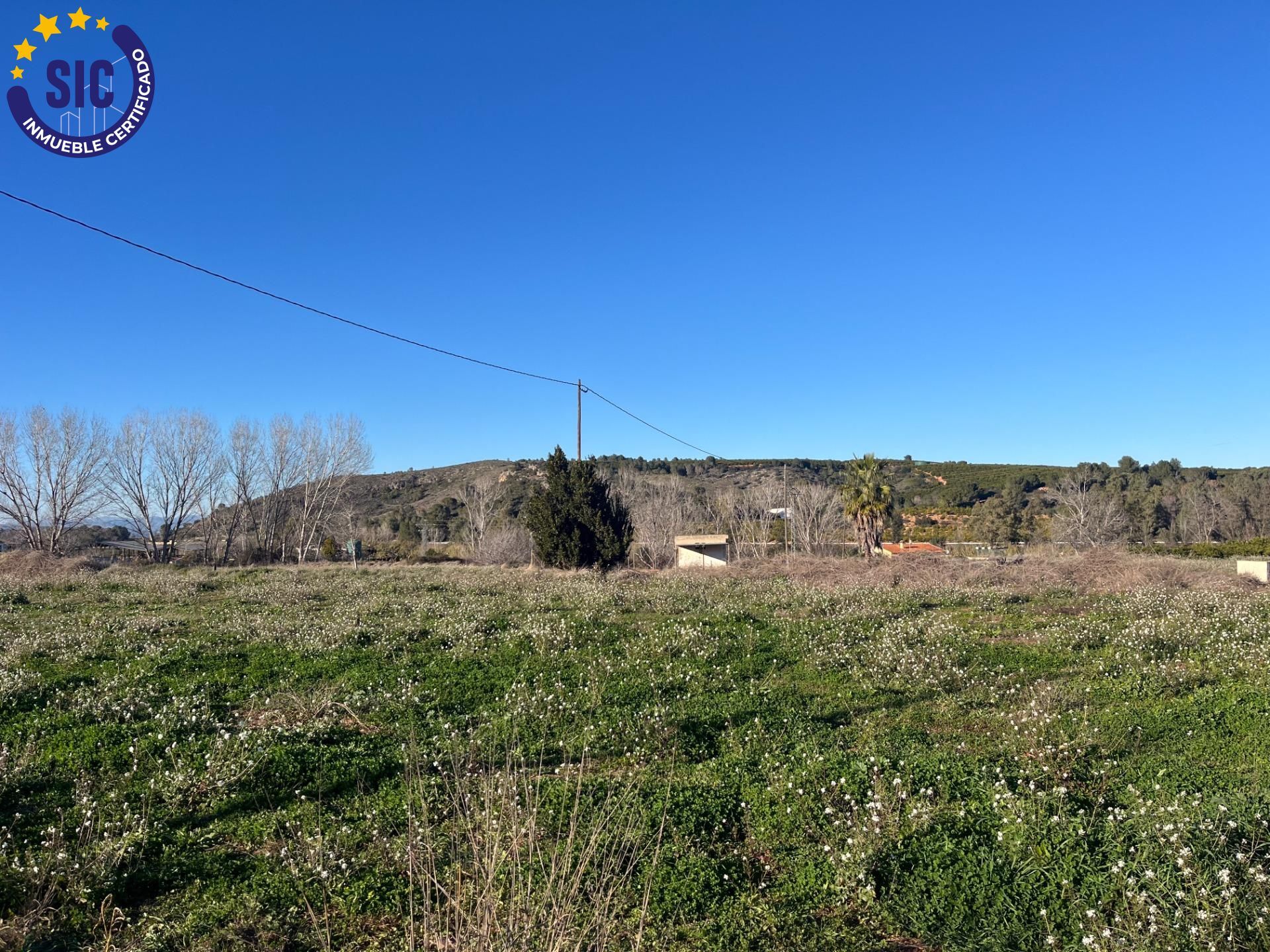 Plot in Barxeta