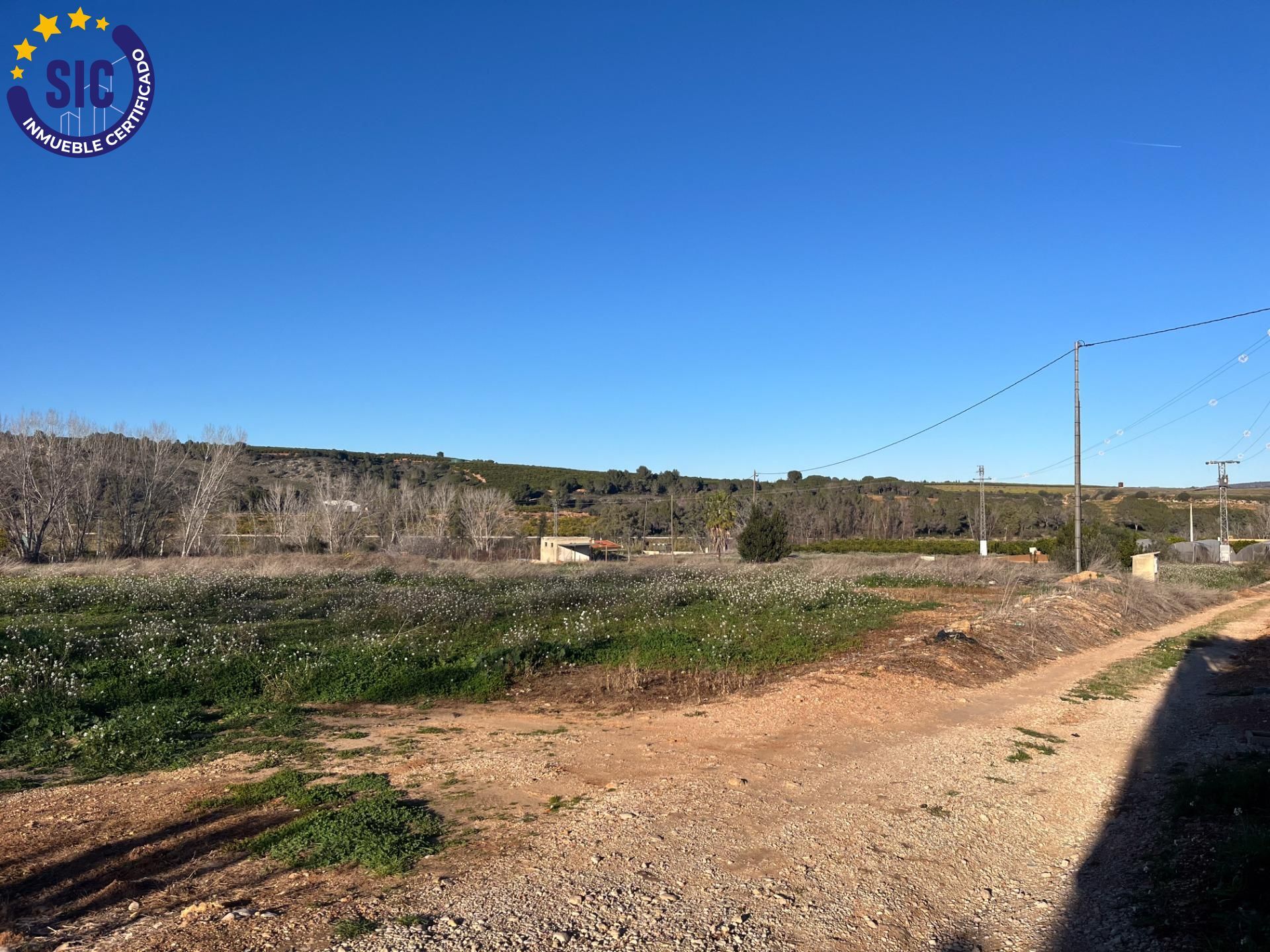 Plot in Barxeta