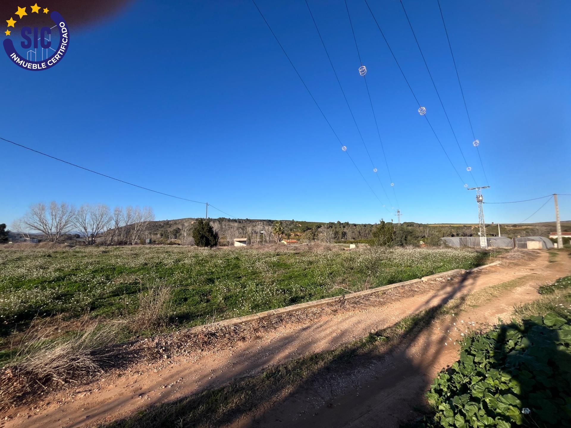 Plot in Barxeta