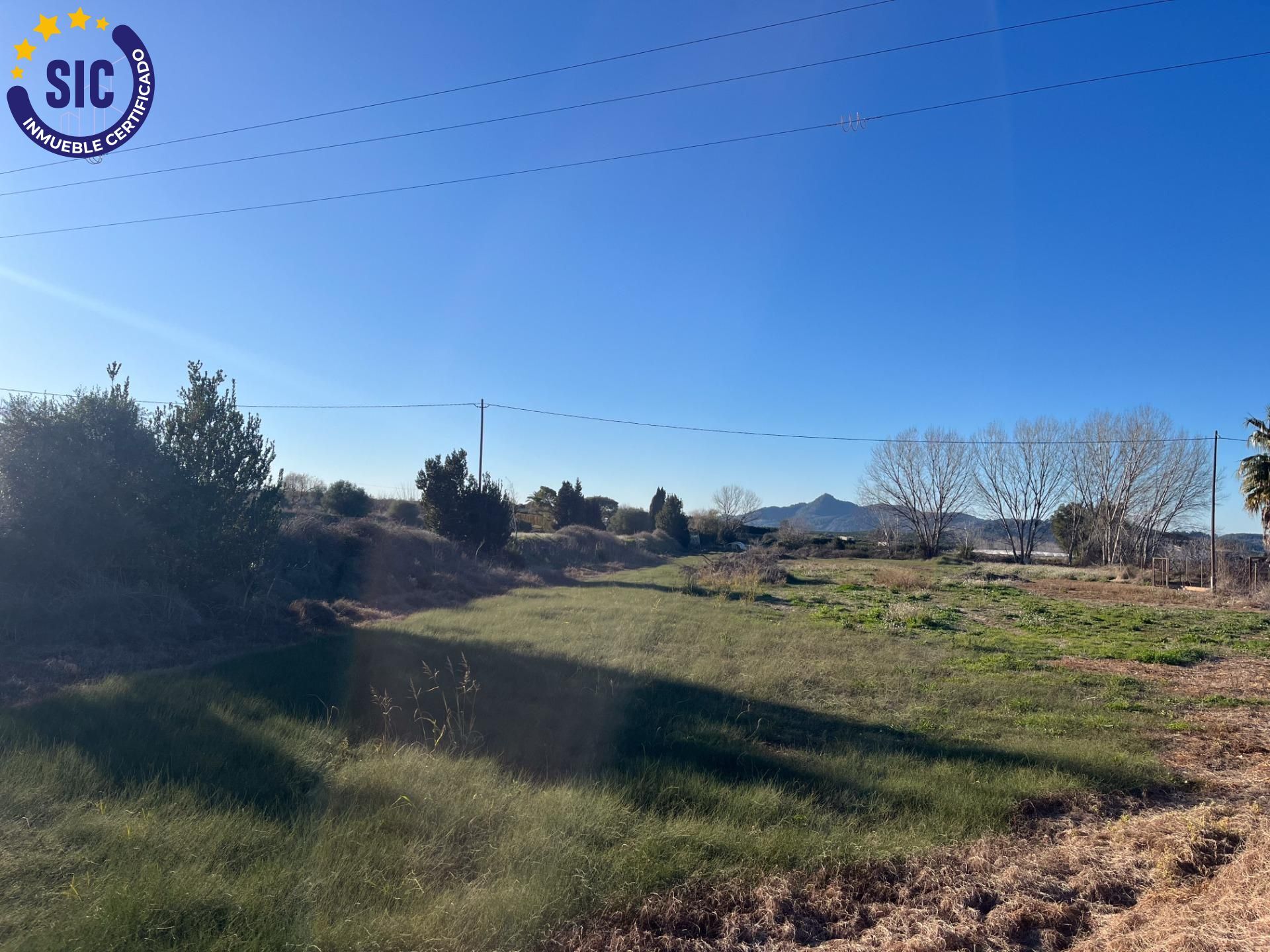 Plot in Barxeta