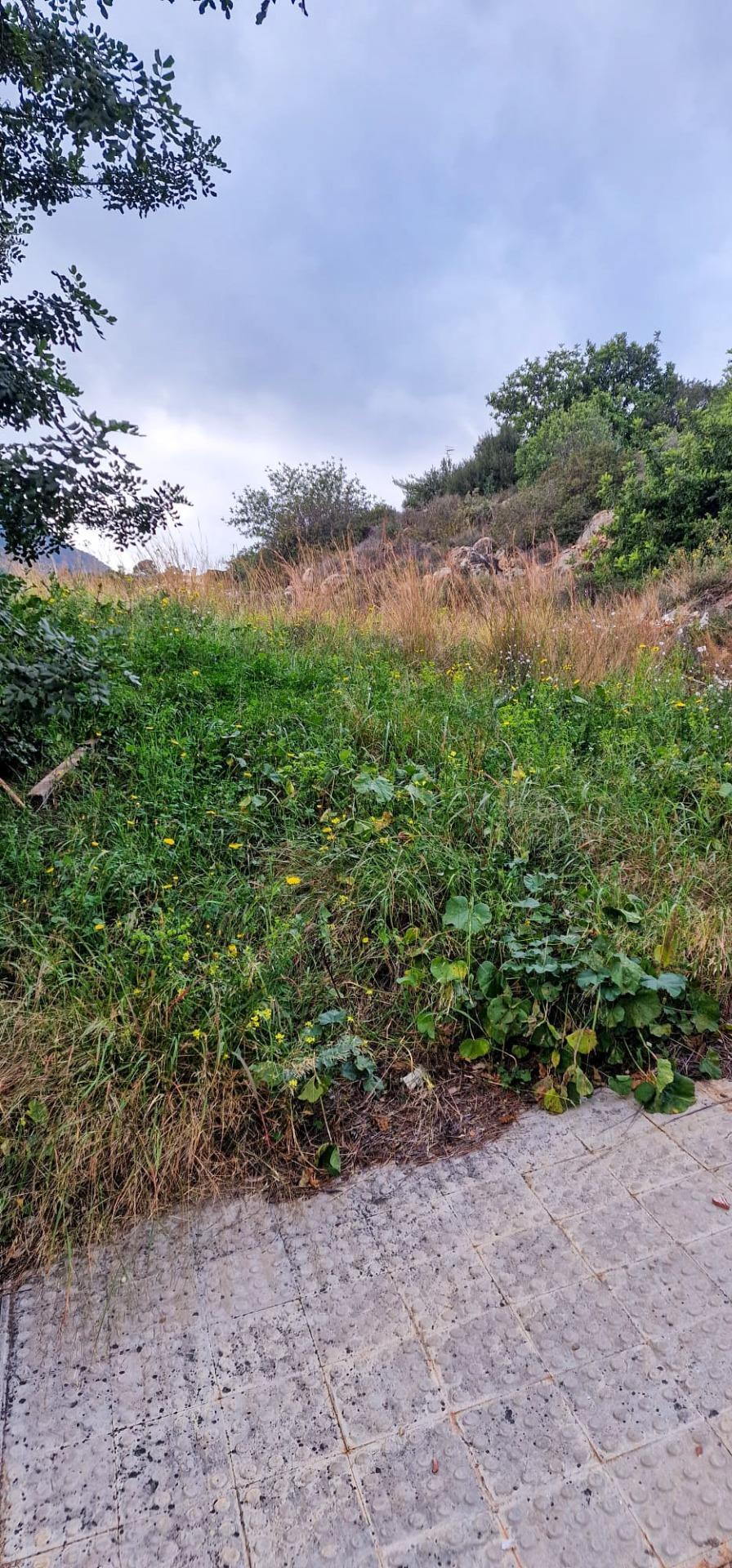 Plot in La Vall d'Uixo