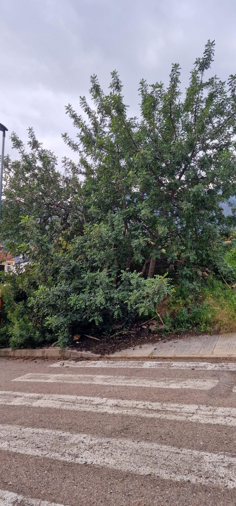 Plot in La Vall d'Uixo