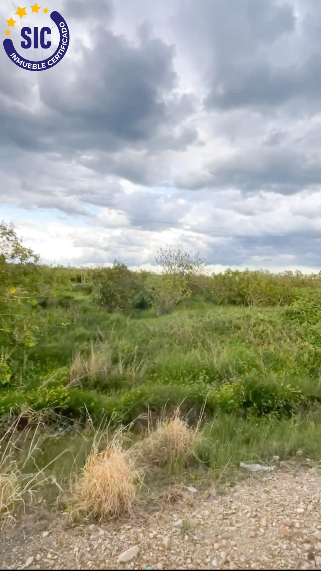 Plot in Tavernes de la Valldigna
