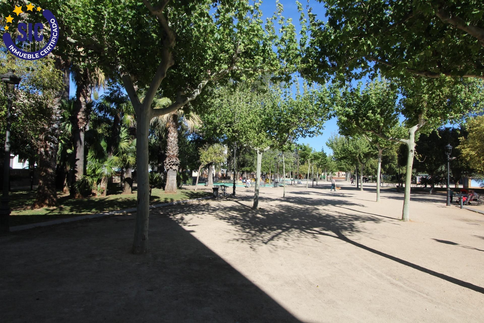 Pisos-Venta-Carcaixent-1766319-Foto-31