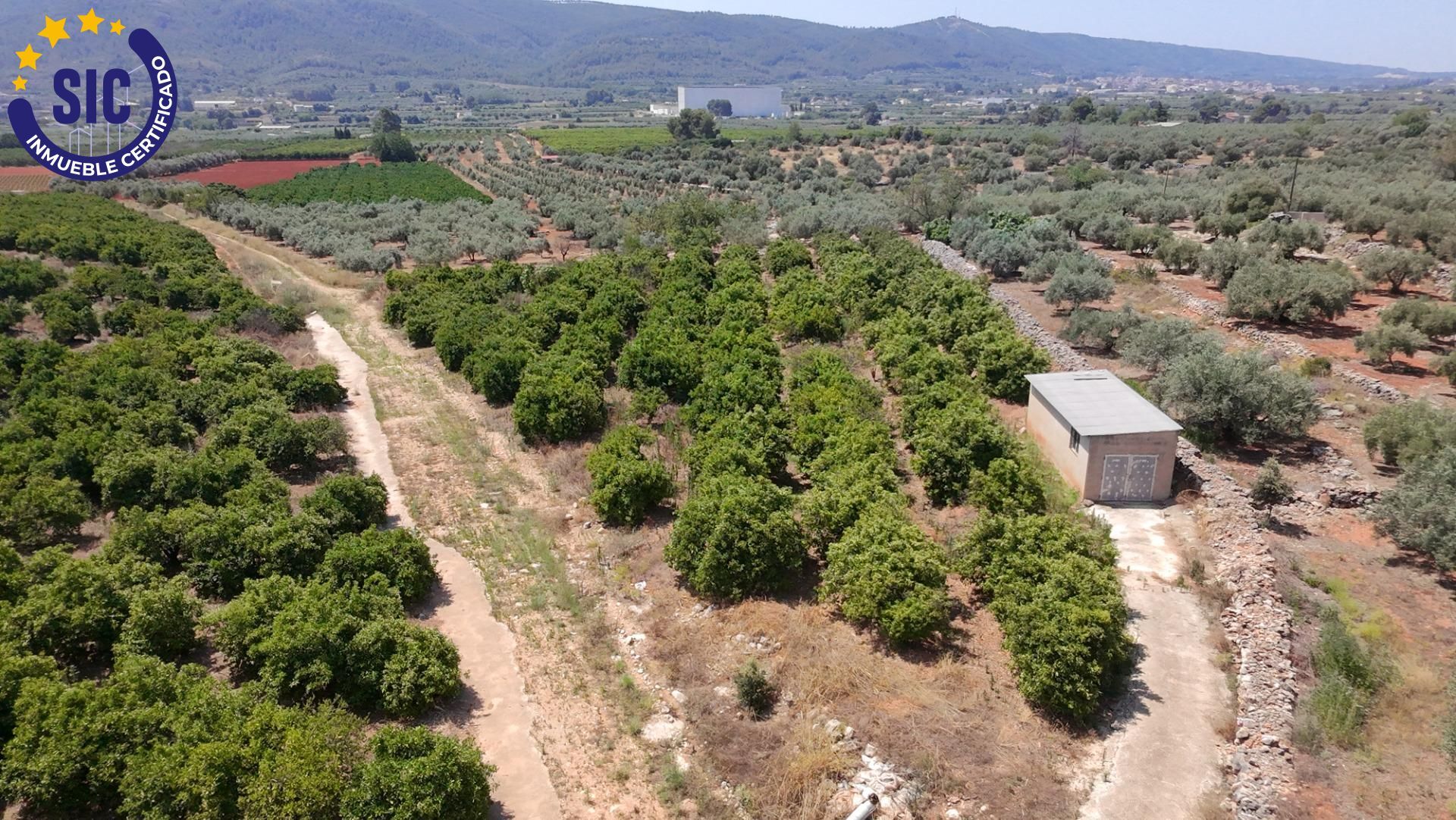 Fincas y solares-Venta-Enguera-1766340-Foto-2