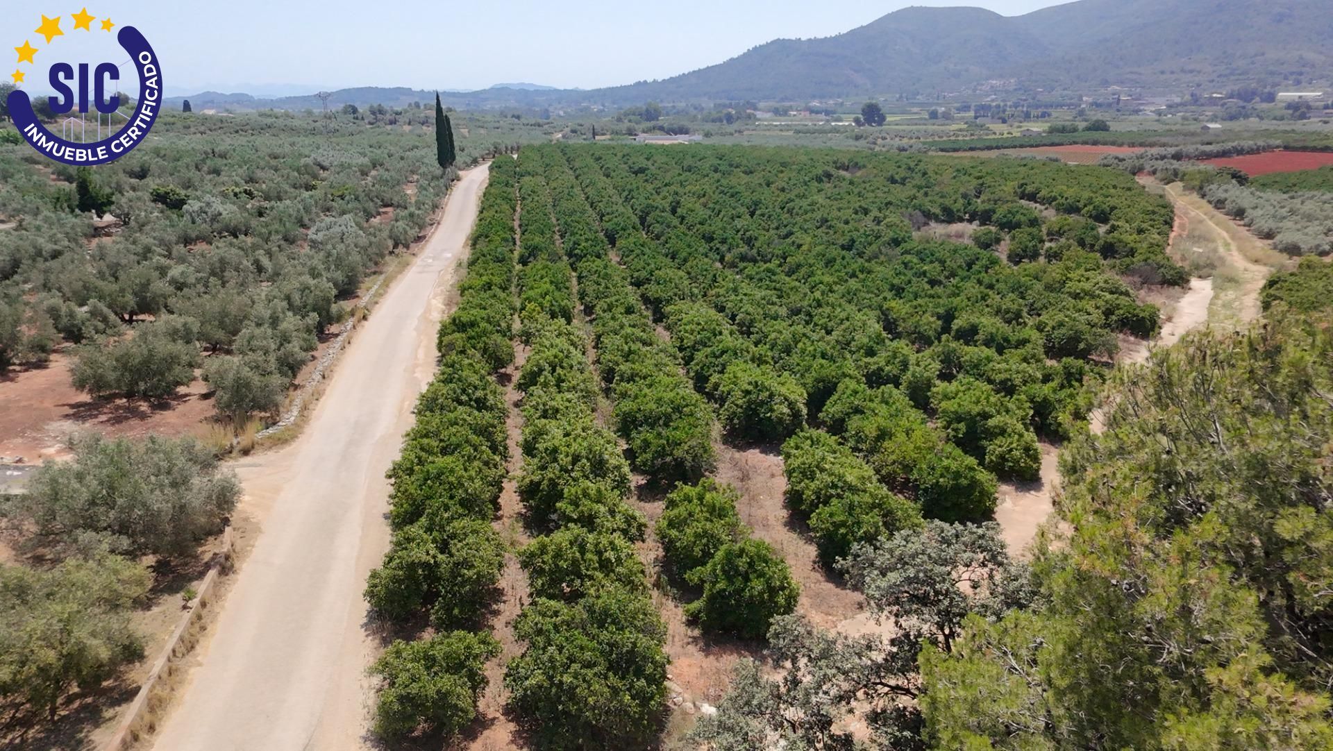 Fincas y solares-Venta-Enguera-1766340