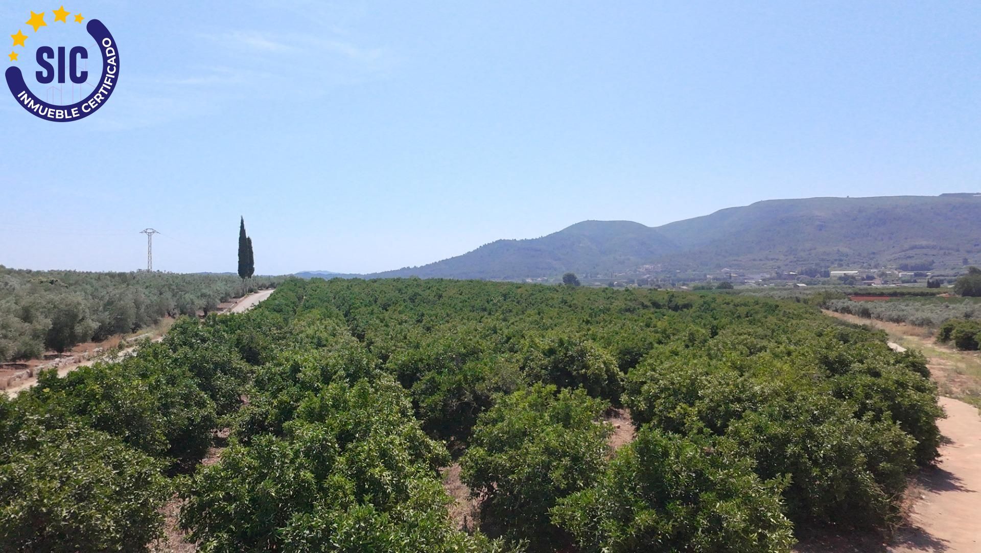 Fincas y solares-Venta-Enguera-1766340-Foto-11