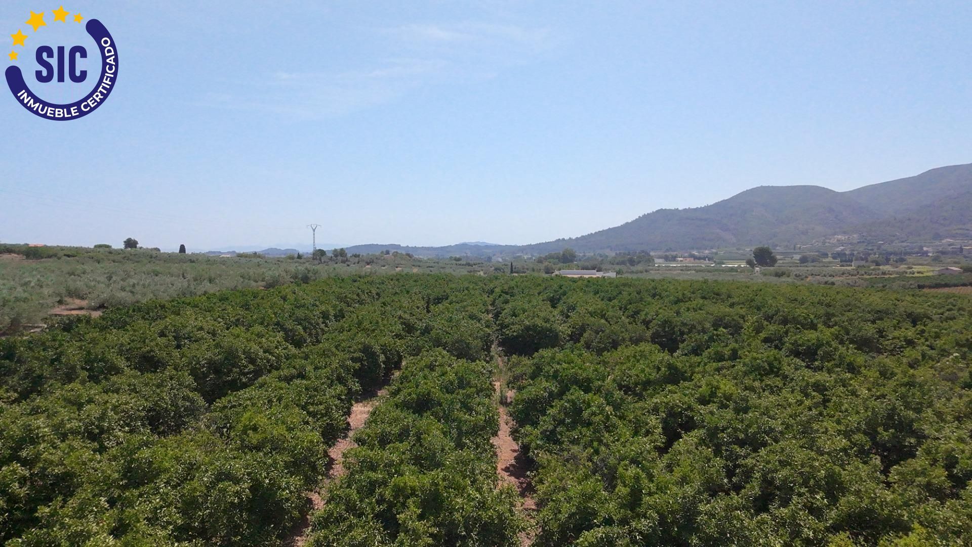 Fincas y solares-Venta-Enguera-1766340-Foto-12