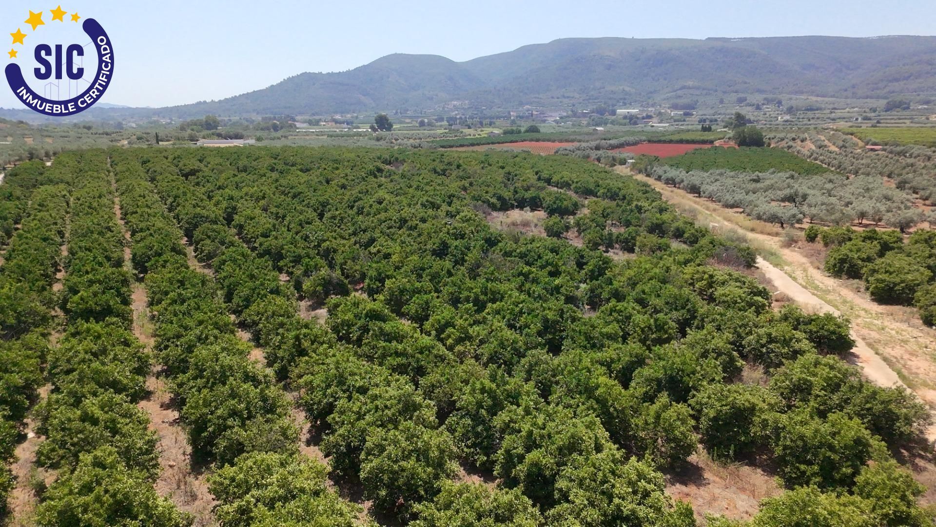 Fincas y solares-Venta-Enguera-1766340-Foto-9