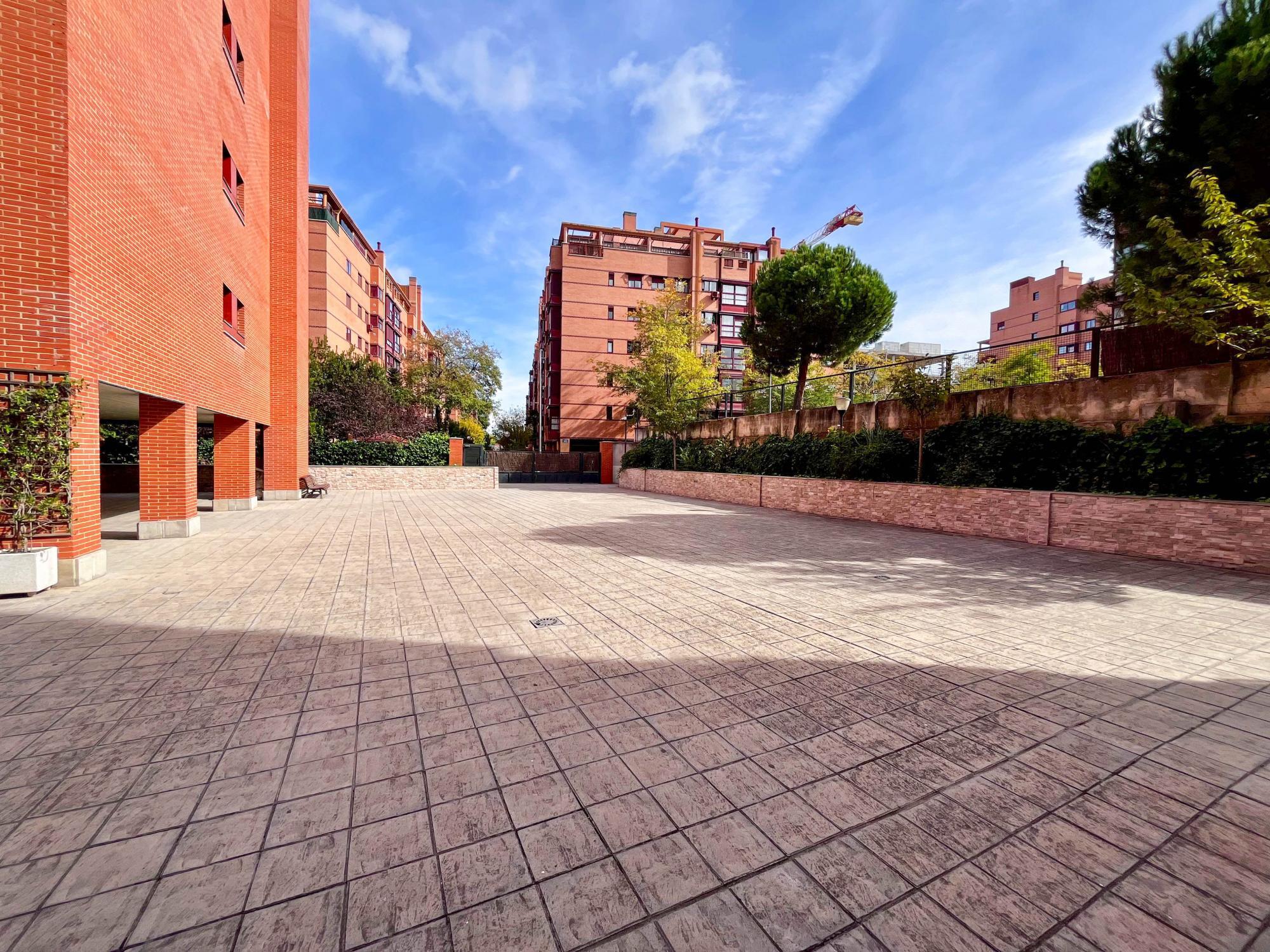 Pisos-Alquiler-Madrid-1901085-Foto-30