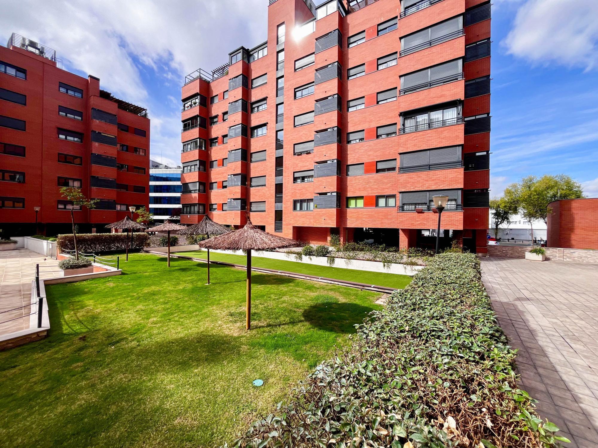 Pisos-Alquiler-Madrid-1901085-Foto-40