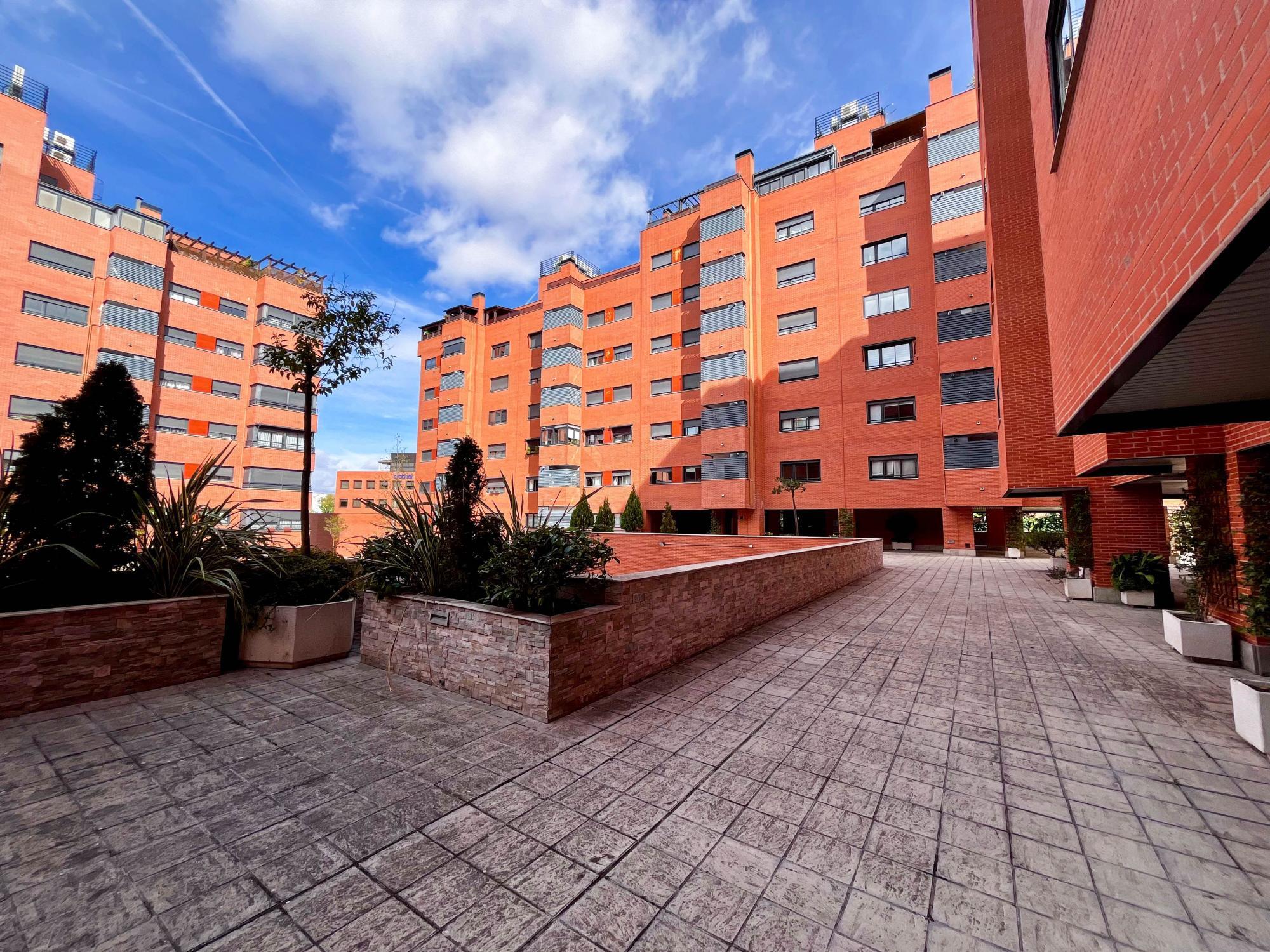 Pisos-Alquiler-Madrid-1901085-Foto-42