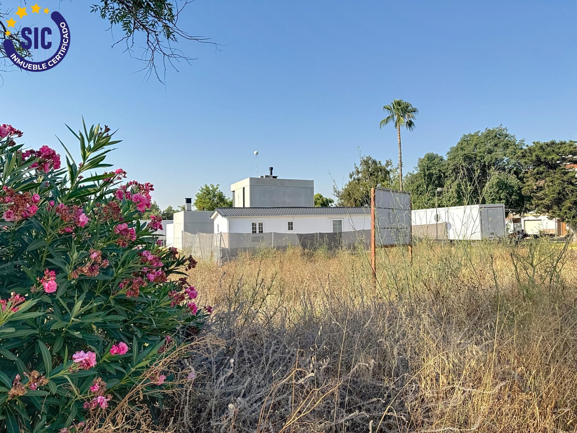 Fincas y solares-Venta-Loriguilla-1768781-Foto-21