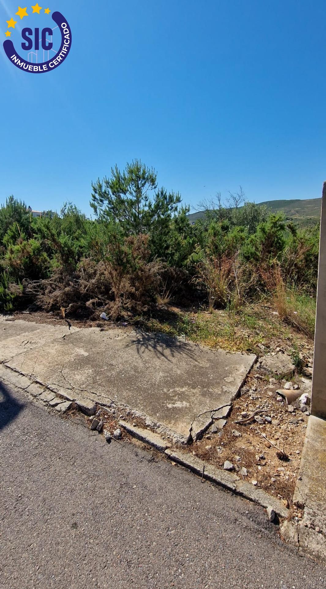 Fincas y solares-Venta-TurÃ­s-1768778-Foto-4