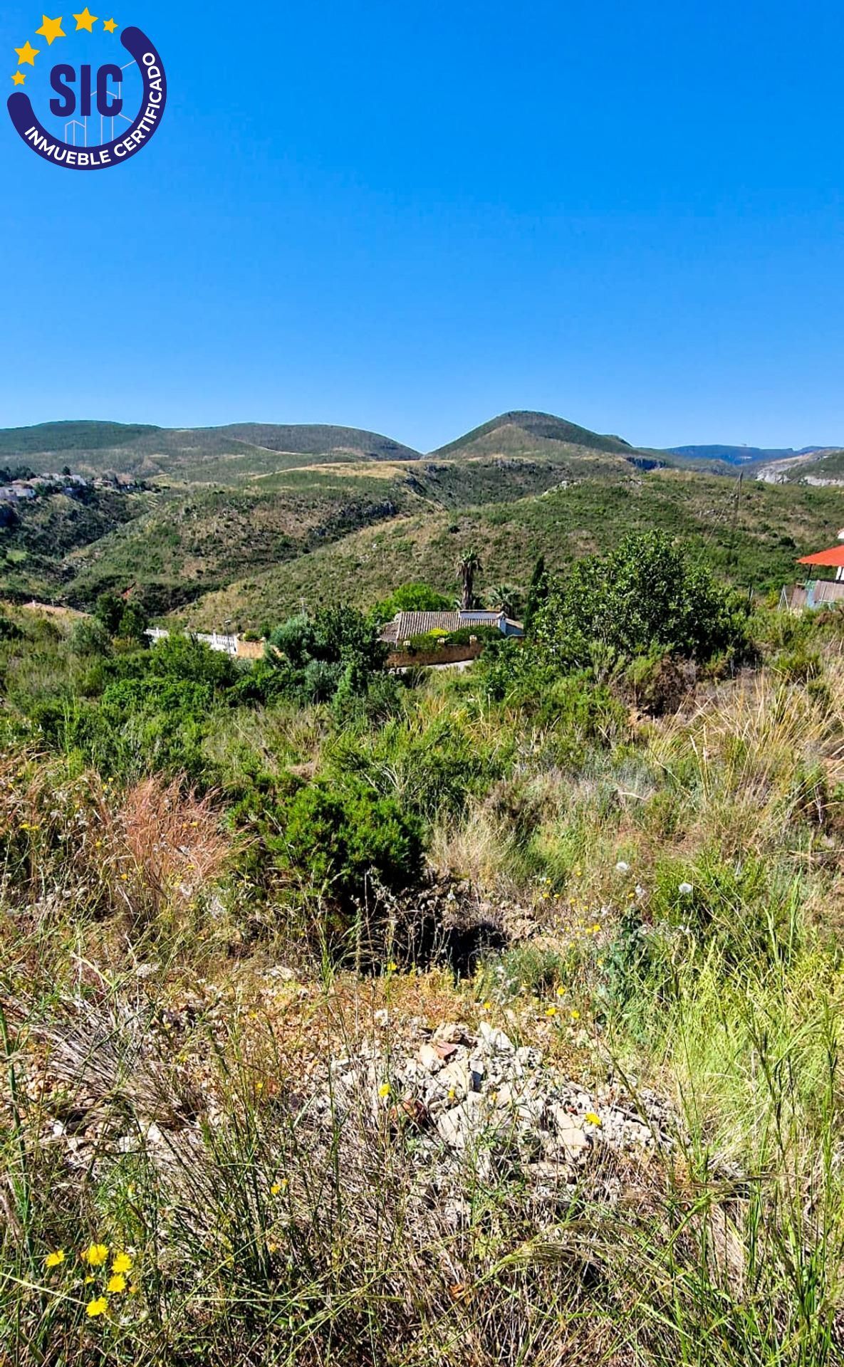 Fincas y solares-Venta-TurÃ­s-1768778-Foto-6